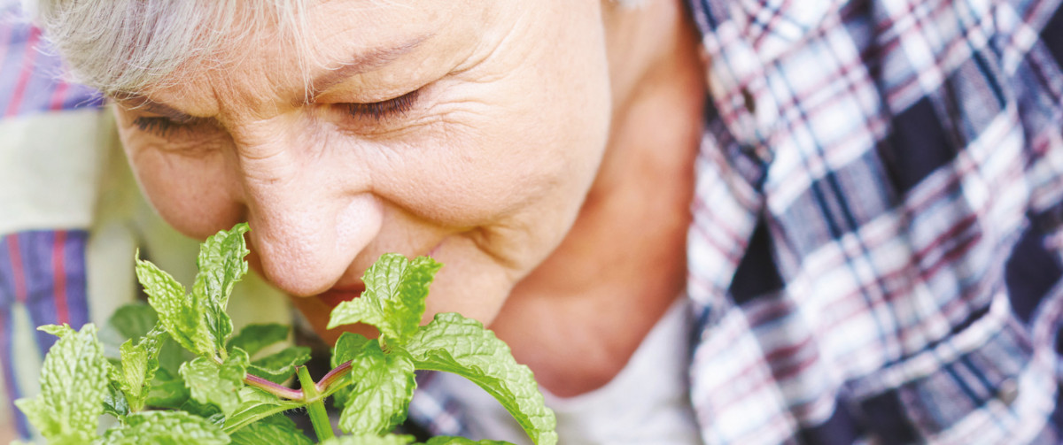 Jardinez_c_est_bon_pour_la_santé