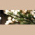Décoration sapin de noel